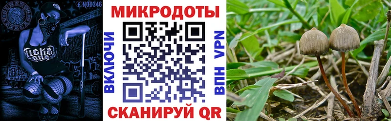 Псилоцибиновые грибы мицелий  Купить где  Кудрово 